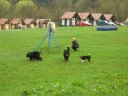 Pecka 2006